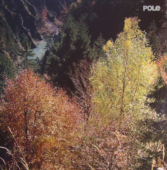 Pole Wald