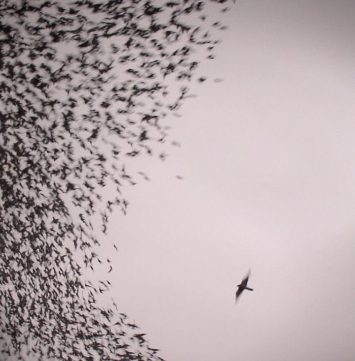 Wilco – Sky Blue Sky vinyl cover