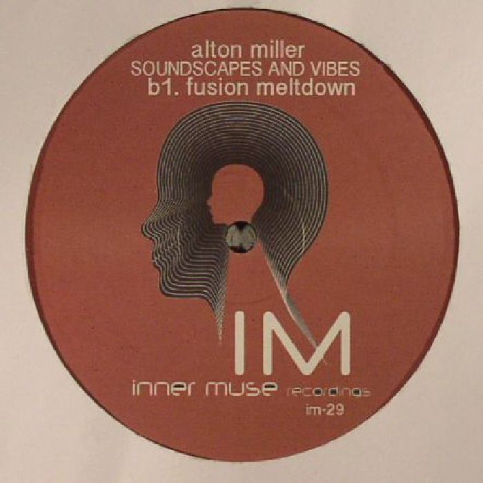 Alton Miller Soundcsapes and Vibes