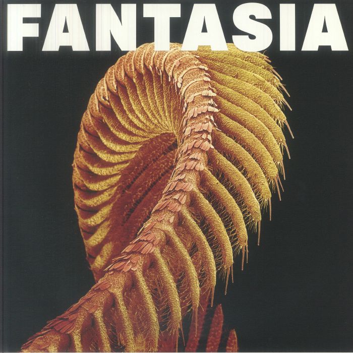 Slift – Fantasia (Loser Edition) vinyl cover