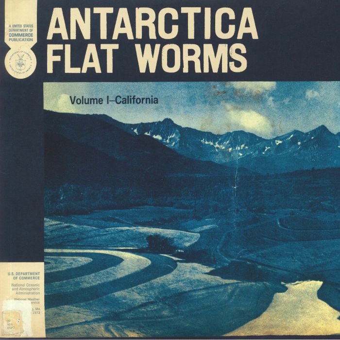 Flat Worms Antarctica