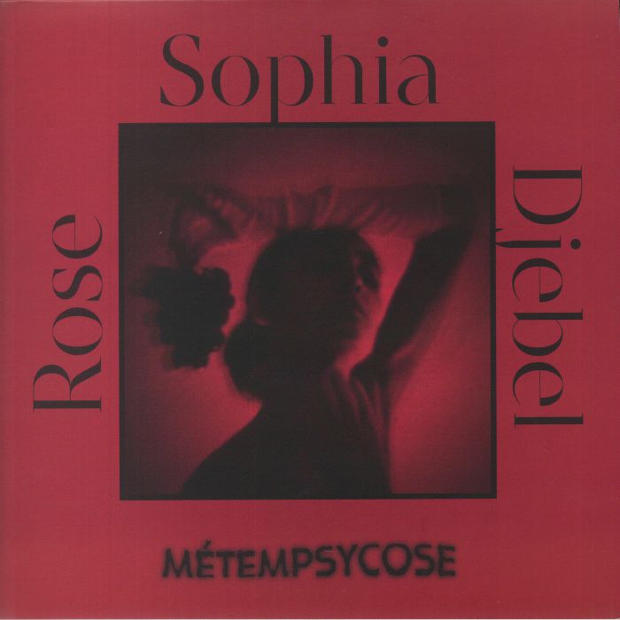 Sophia Djebel Rose Metempsycose