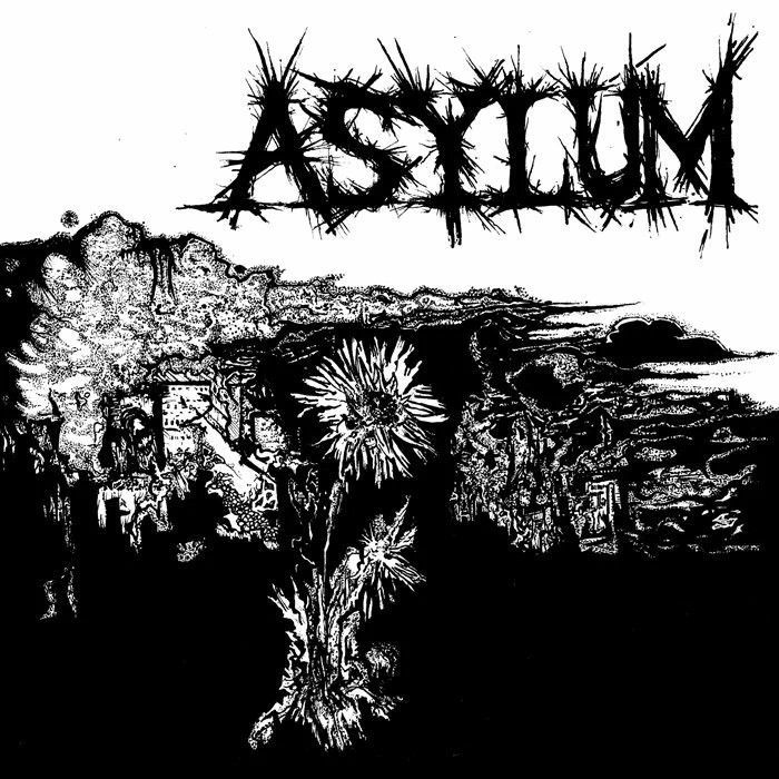 Asylum Asylum