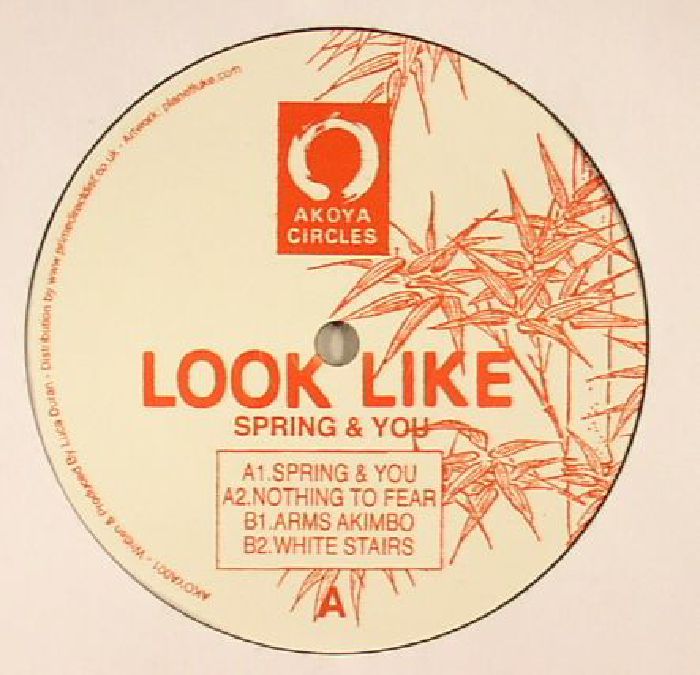 Ayoka Circles Vinyl