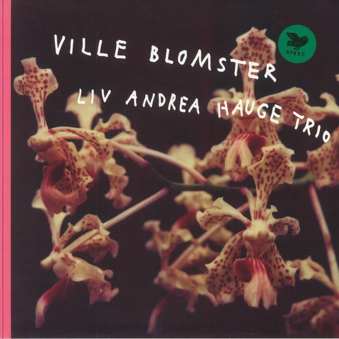 Liv Andrea Hauge Trio Ville Blomster