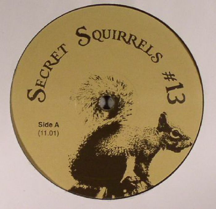 Secret Squirrel Secret Squirrels  13