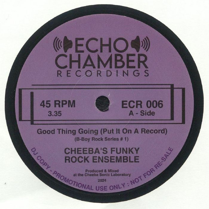Echo Chamber Recordings Vinyl