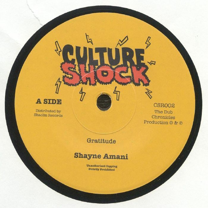 Culture Shock Vinyl