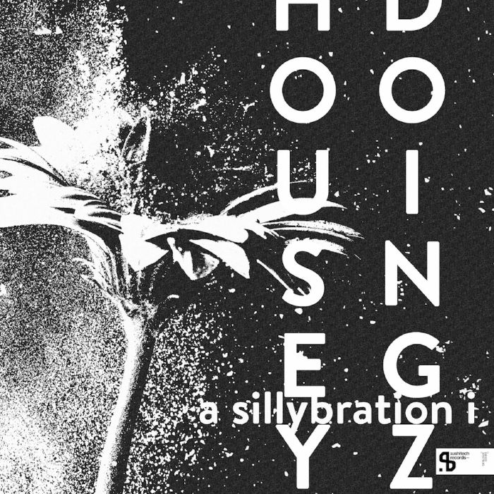 Housey Doingz – A Sillybration I vinyl cover