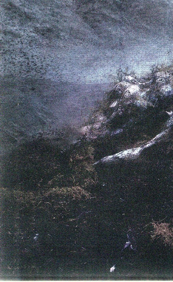 Ashnikko – Weedkiller vinyl cover