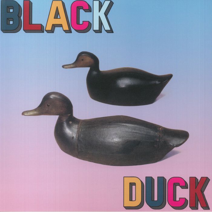 Black Duck Black Duck