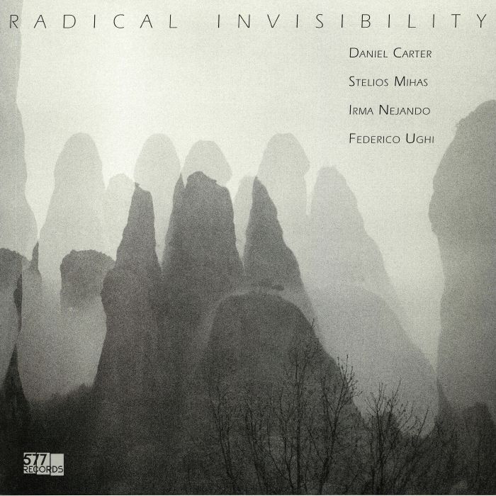 Daniel Carter | Stelios Mihas | Irma Nejando | Federico Ughi Radical Invisibility