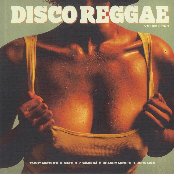 Various Artists Disco Reggae Vol 2