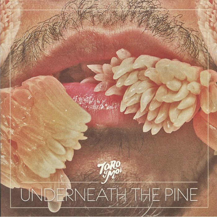 Toro Y Moi Underneath The Pine (10th Anniversary Edition)