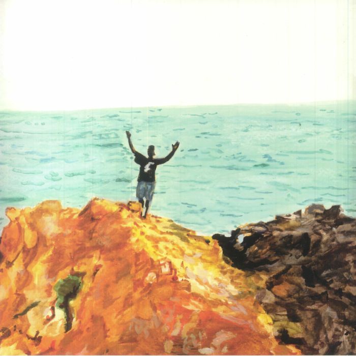 Never Panicking Vinyl