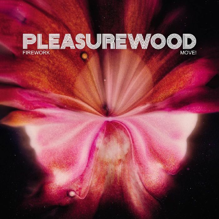 Pleasurewood Firework
