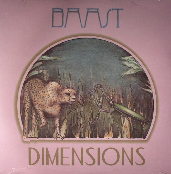 Baast Dimensions