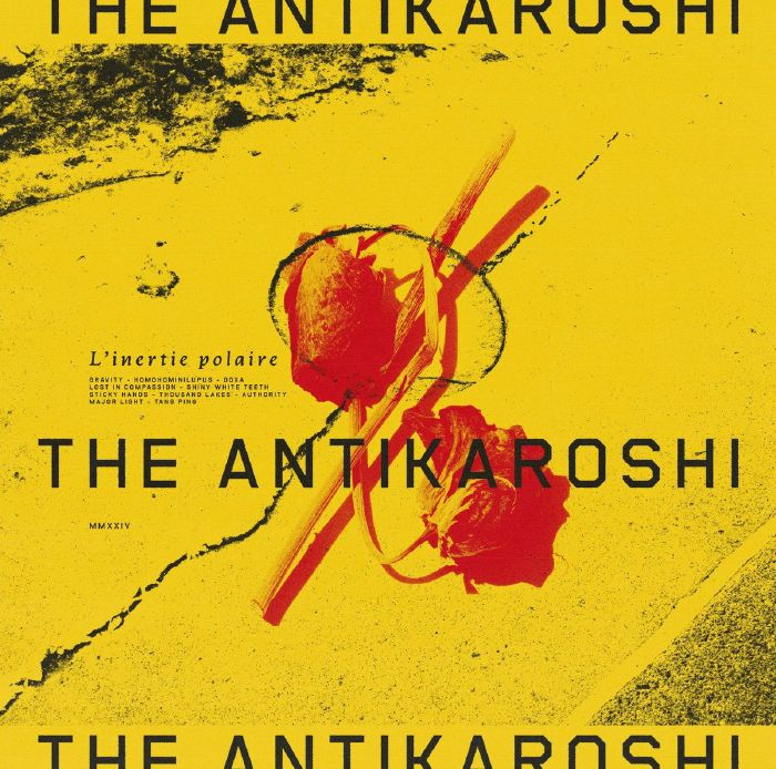 The Antikaroshi Linertie Polaire