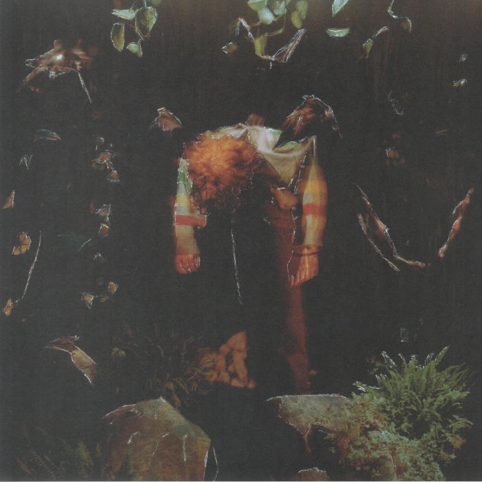 Cavetown – Worm Food vinyl cover