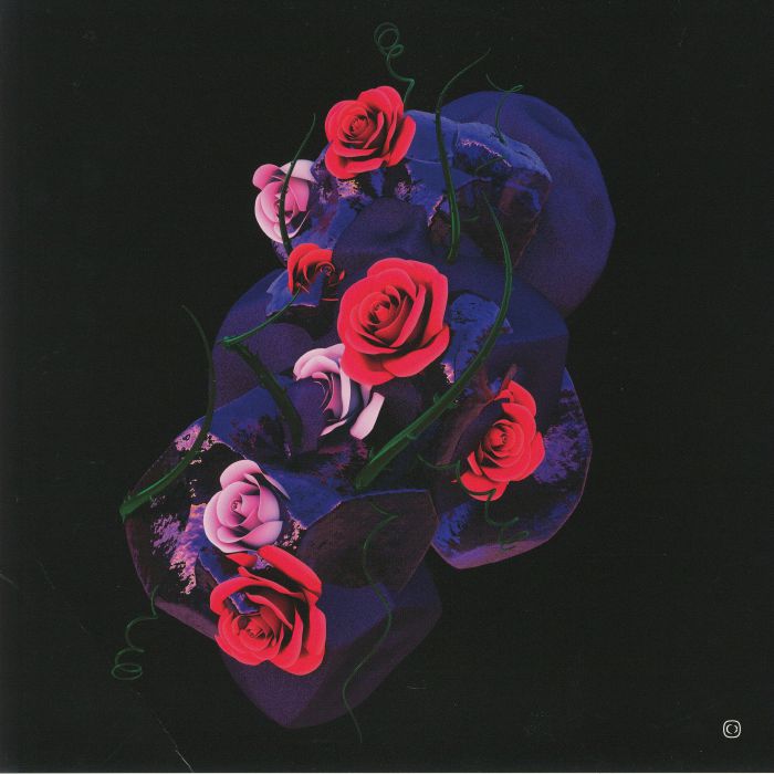 Hyroglifics Stone Rose EP