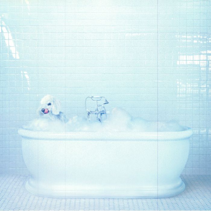 Frankie Cosmos – Vessel vinyl cover