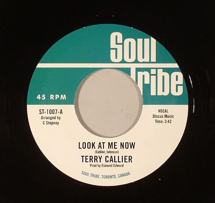 Terry Callier – Ordinary Joe vinyl cover
