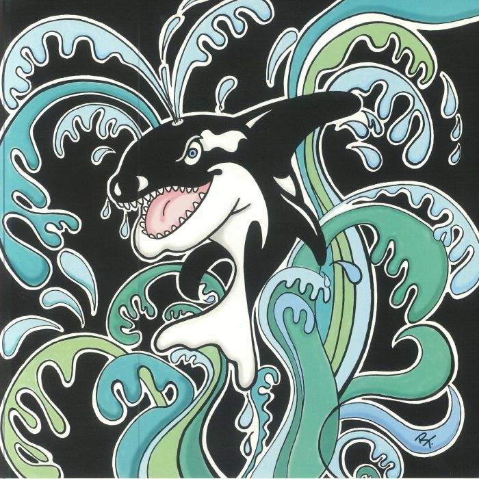 Killer Whale Rock The Boat