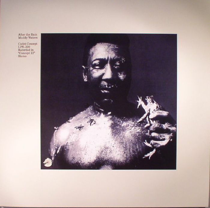 Muddy Waters After The Rain (reissue)
