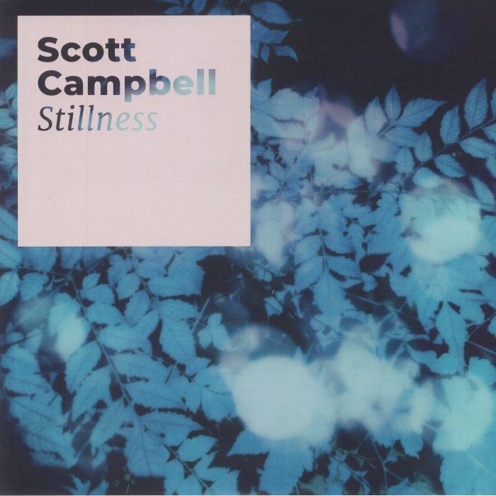 Scott Campbell Stillness