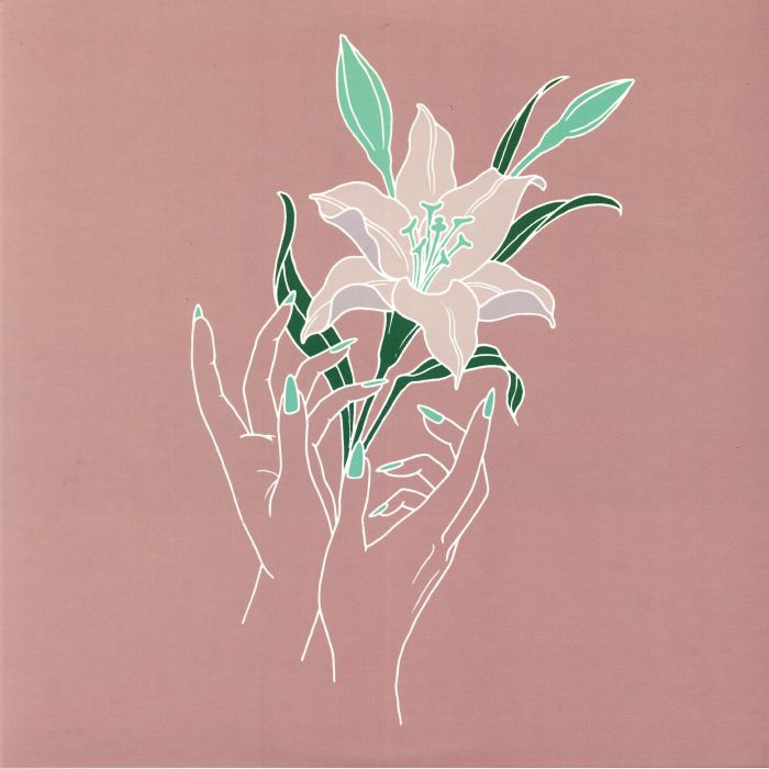 Them Are Us Too – Amends vinyl cover
