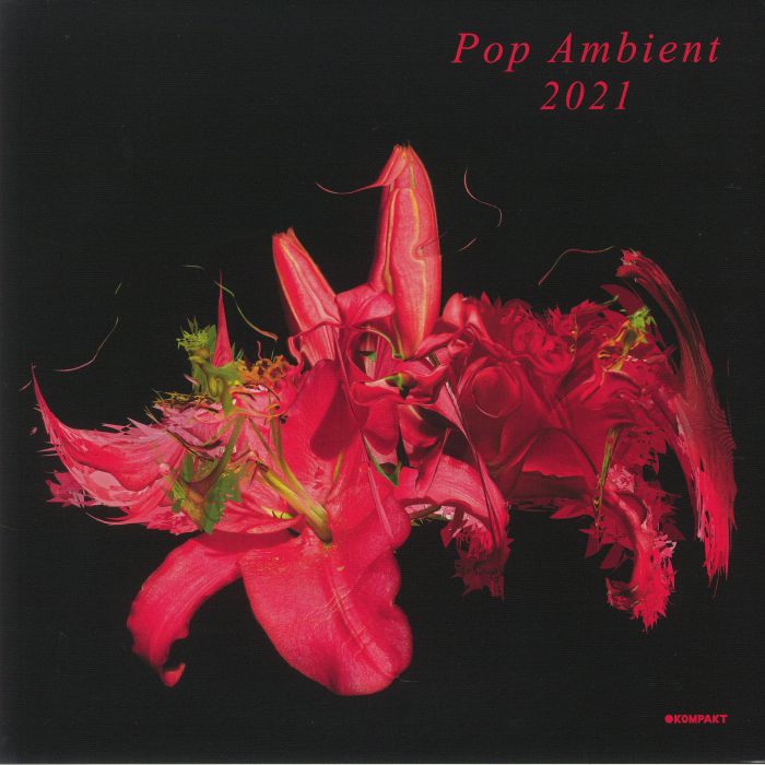 Various Artists Pop Ambient 2021