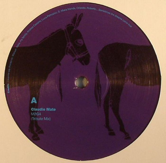 Flying Donkey Music Vinyl