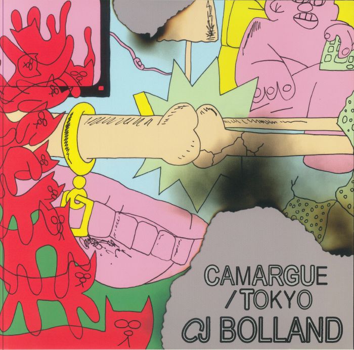 Cj Bolland Camargue