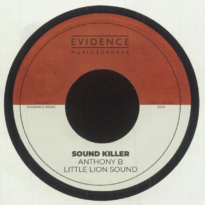 Evidence Vinyl