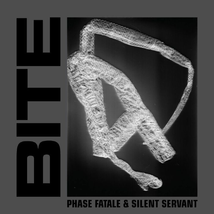 Phase Fatale | Silent Servant Confess