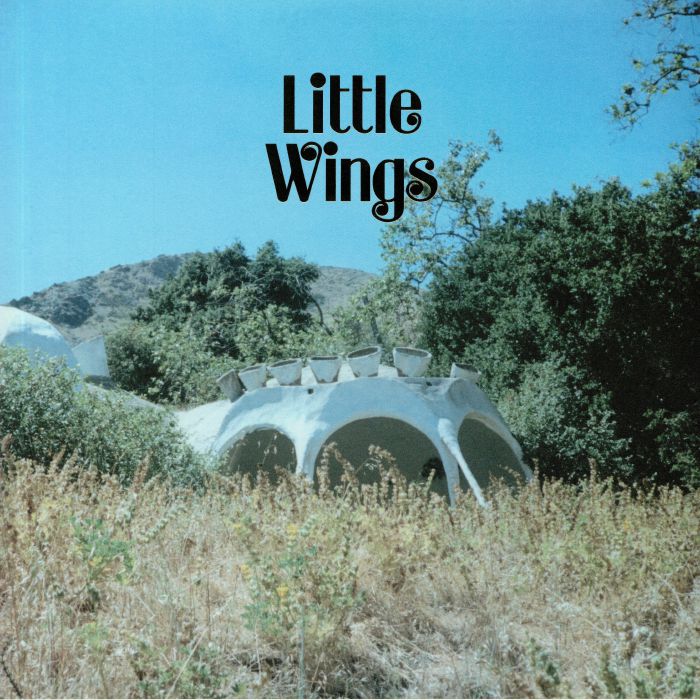 Little Wings Wonderue