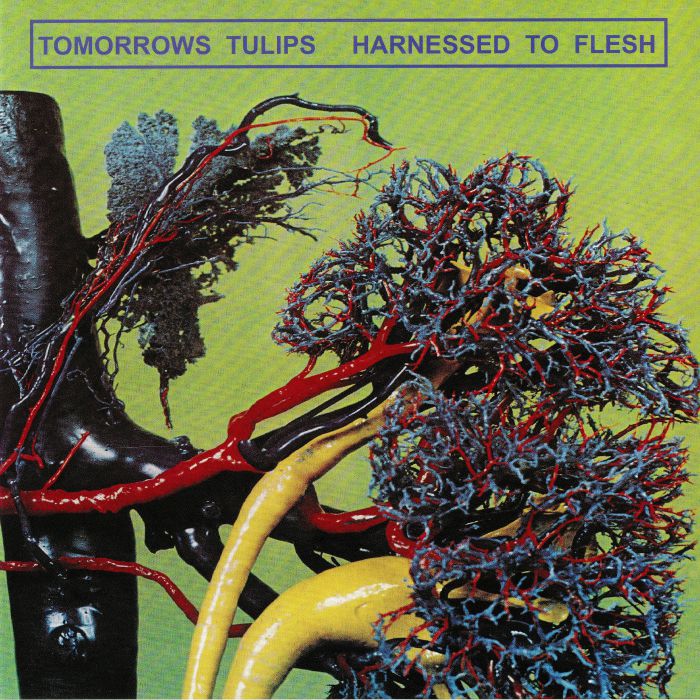 Tomorrows Tulips Harnessed To Flesh