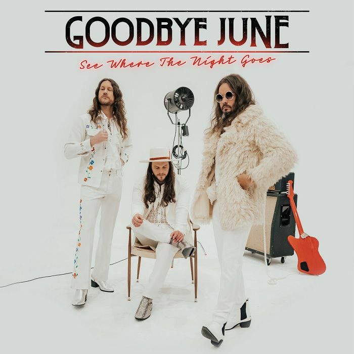 Goodbye June Vinyl