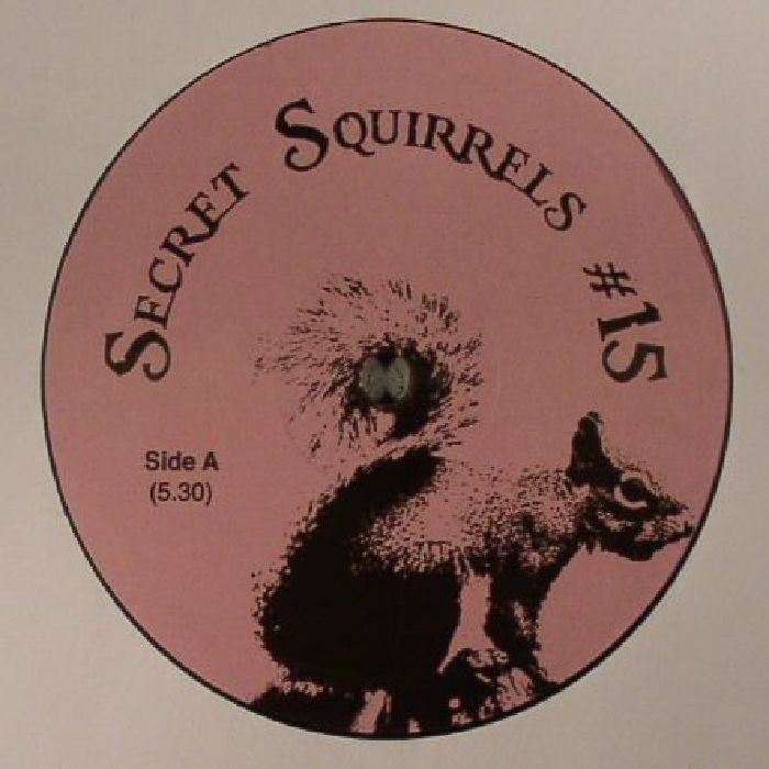 Secret Squirrel Secret Squirrels  15