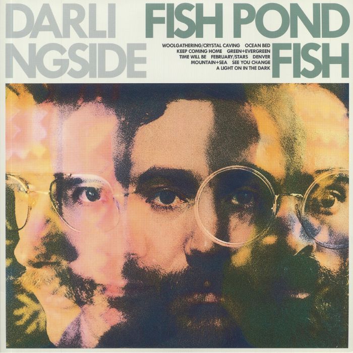 Darlingside Fish Pond Fish