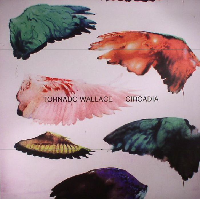 Tornado Wallace Circadia  													