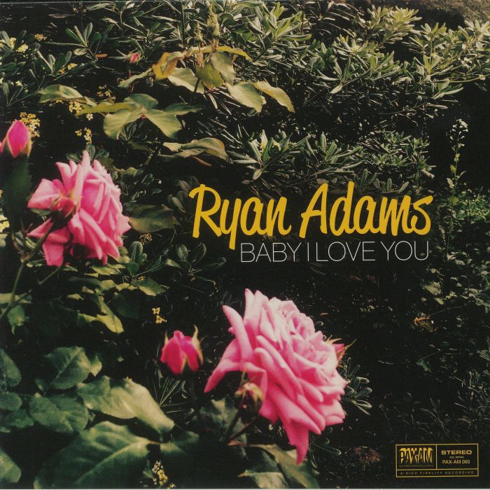 Ryan Adams Baby I Love You