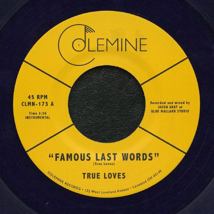 The True Loves – Famous Last Words vinyl cover