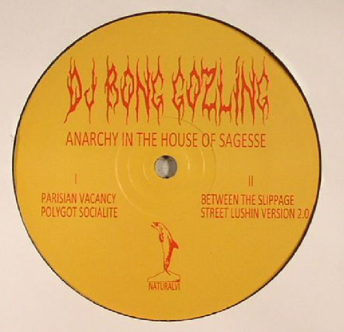 DJ Bong Gozling Anarchy In The House Sagesse