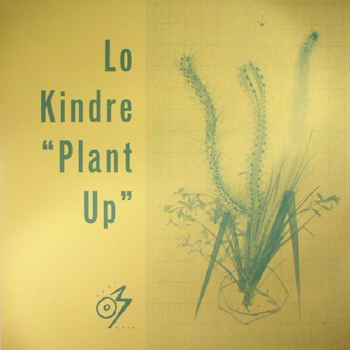 Lo Kindre Plant Up
