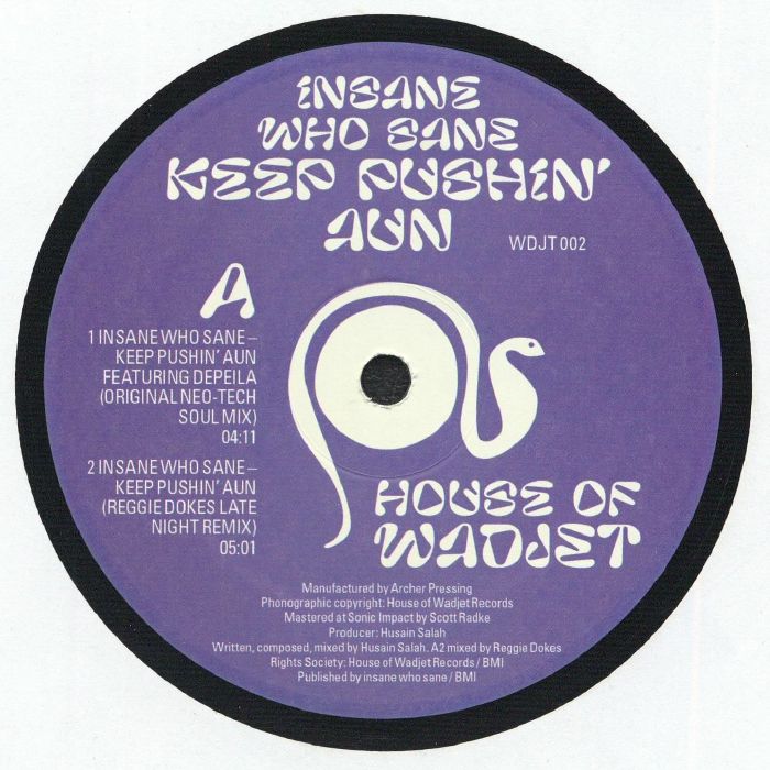 Insane Who Sane – Keep Pushin' Aun EP vinyl cover