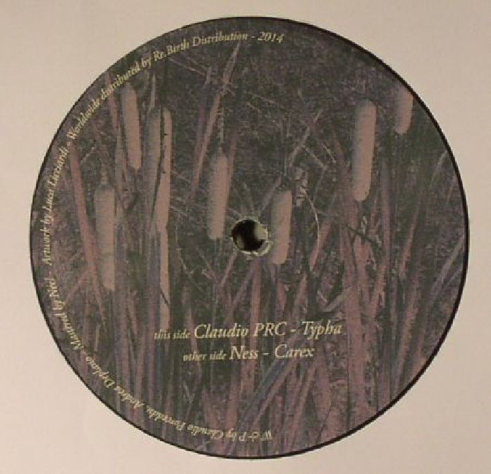 Claudio Prc | Ness – Typha vinyl cover
