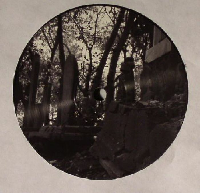 Cellular Memory Vinyl