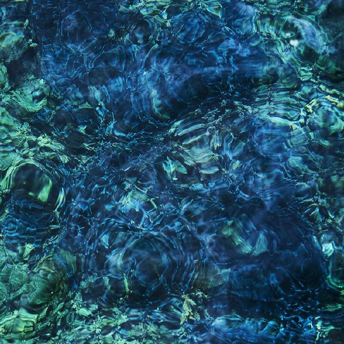 Ichiko Aoba – Luminescent Creatures vinyl cover