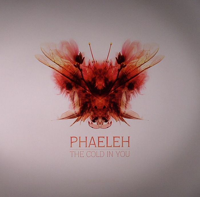 Phaeleh The Cold In You